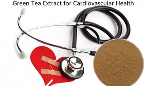 Green Tea Extract Powder and Cardiovascular Health: Protecting the Heart Naturally